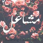 meeesh567