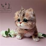 FluffyPaws365