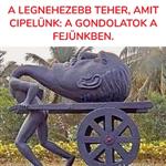 Tamas EgriEgriTamas
