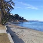 Hüseyin Kocaoglan20BOSS20