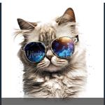 Jean-Claude ConniljcCONNIL