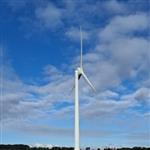 Aiden HawkinsMarau2021