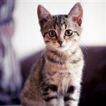 Lavanya ChiyaduLavanyachiyadu