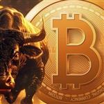 Bitcoin-Bull