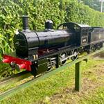 rayedisbury