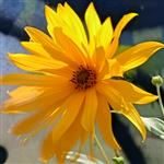 Oliver HirschOliReh66