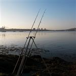 Andrew Neal Hetherington