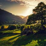 , PFSignal-com