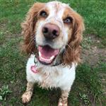 Becky585