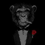 RodQuiles