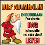 Arman_avi
