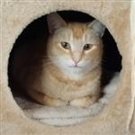 Geoffrey JonesBamboo99