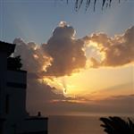 Shaun_H
