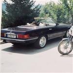 Jole2291