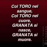 b_claudio