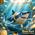 sharkan27