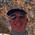 Seanrudester
