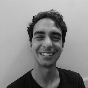 Nicola Guerrini