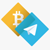 BTCGRAM icon