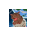 MOODENG logo