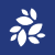 NKN icon