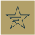 Capstar Financial Holdings I icon