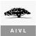 Wisdomtree Us Ai Enhanced Va icon