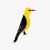 Oriole Resources Plc icon