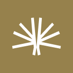 Bushveld Minerals Limited icon
