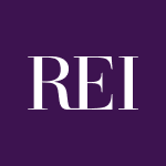 Real Estate Investors Plc icon
