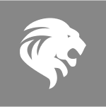 Lion E Mobility AG icon