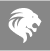 Lion E Mobility AG icon