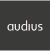 audius SE icon