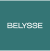 Belysse Group NV icon