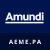 Amundi Core MSCI Emerging Markets UCITS ETF icon