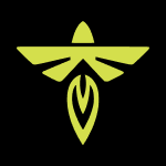 Stocks-FLY-Firefly Aerospace Inc