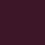 Corpay Inc icon