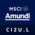 Amundi MSCI India UCITS ETF - USD (C) icon