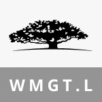 Etf-WMGT.L-WisdomTree Megatrends UCITS ETF - USD Acc