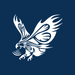 Infinite Eagle Acquisition Corp icon