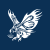 Infinite Eagle Acquisition Corp icon