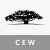 WisdomTree Emerging Currency Strategy Fund icon