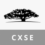 WisdomTree Trust WisdomTree China ex-State-Owned Enterprises Fund icon