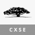 WisdomTree Trust WisdomTree China ex-State-Owned Enterprises Fund icon