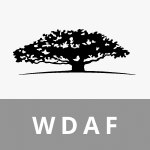 Цена WisdomTree Asia Defense Fund