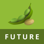 Commodities-SoyMeal.MAY26-Micro SoyBean Meal May 26 Future