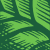 Whole Earth Brands Inc icon