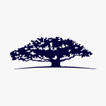 Stocks-WT-WisdomTree Investments Inc