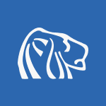 Stocks-NAK-Northern Dynasty Minerals Ltd