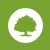 Oak Street Health Inc. icon